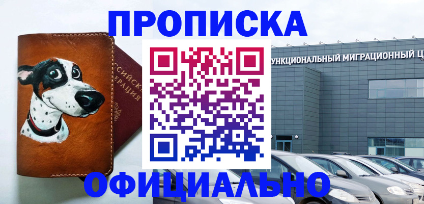 временная прописка в Кашине